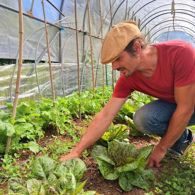 La petite ferme des Marmiers