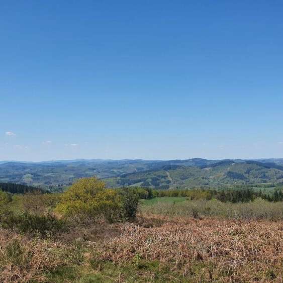 Patrimoine et forêt du Limousin
