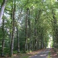 Chemin de l'âme de l'âne au Rio Négro