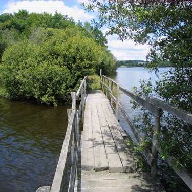 Circuit Les Daumiers