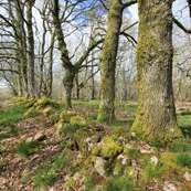 Circuit 'entre Cimas e Combas'