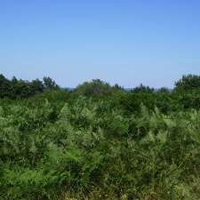 Sentier de la Montjoie