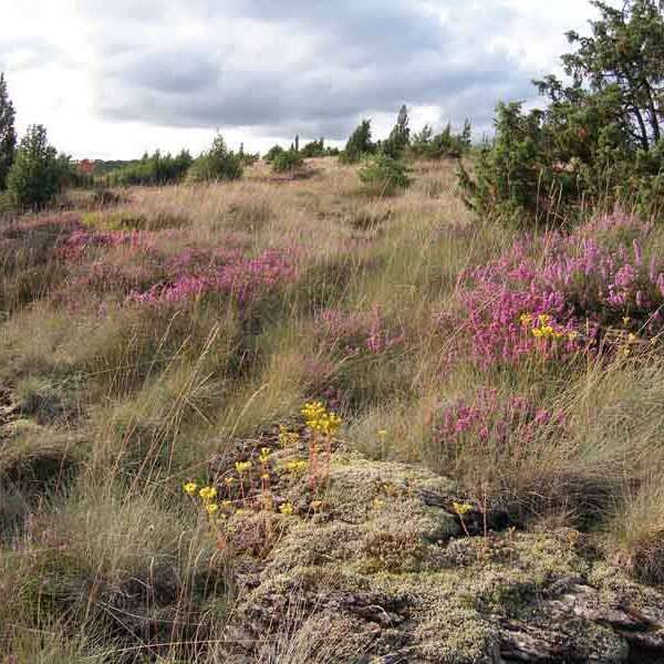 Sentier des bergers et tuiliers