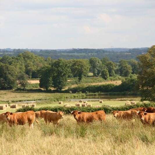 Chemin de la Margoulette