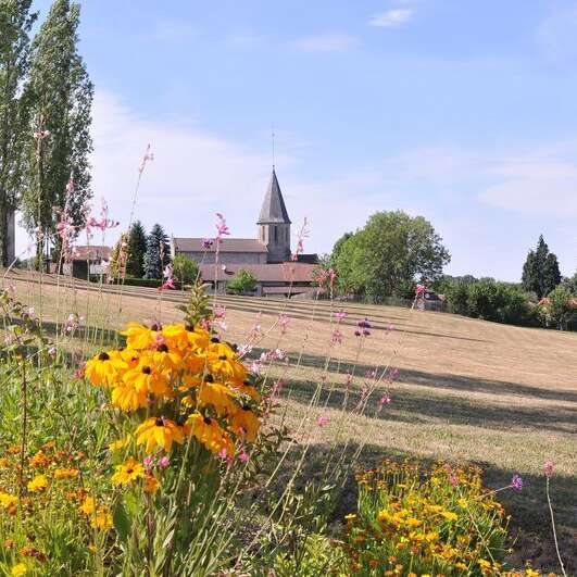Sentier aux sources de la Gorre