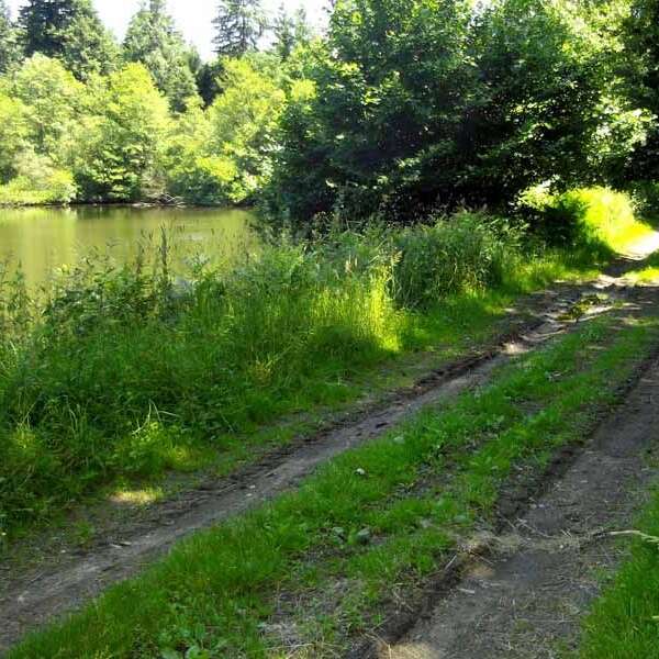 Chemin de Caux - La Mazière