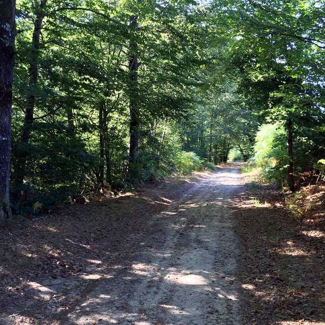 Sentier des Demoiselles