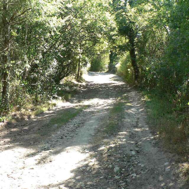 Chemin de la Galache à Lassalle