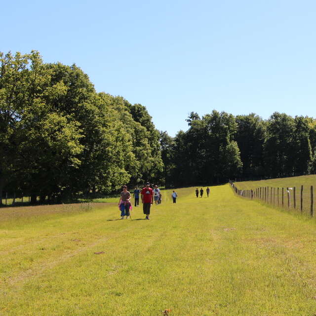 Sentier de la Briance