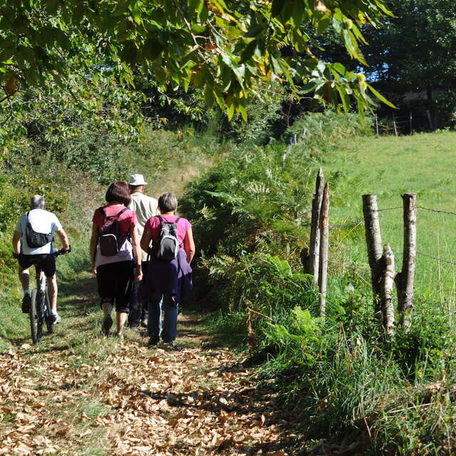 Circuit des Planches