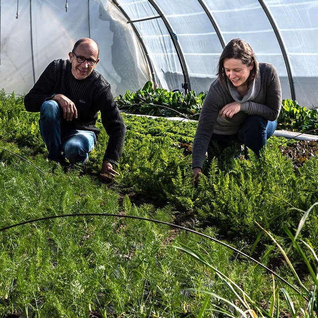Les jardins d'Hélène