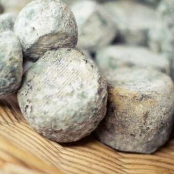 Élevage du Puy Faucon