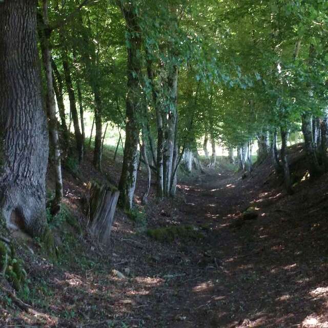 Variante par Lauzeraud - sentier de Meilhac