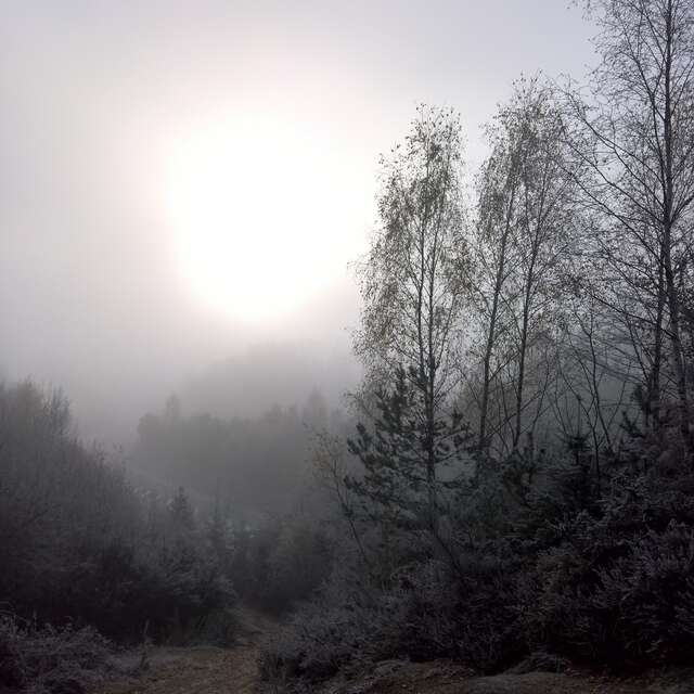 Base Uni'Vert Trail des Monts d'Ambazac - Le sentier de l'ermite