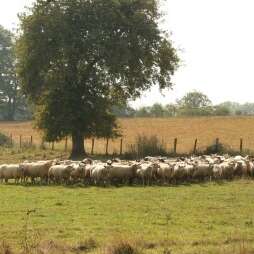 La Ferme des Palennes