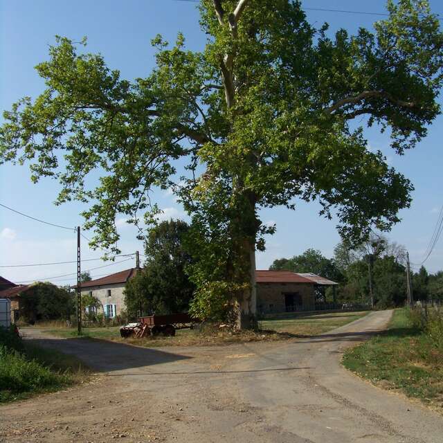 Circuit Les hauts de Beynac