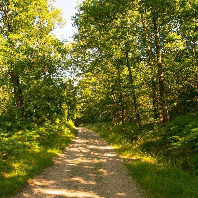 Sentier de la croix du loup