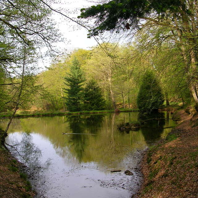 Sentier des étangs