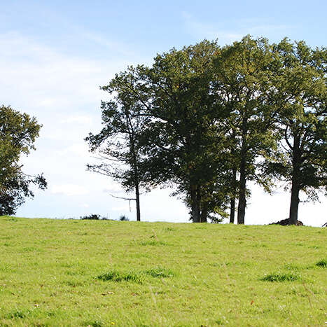 La Boucle VTT d'Aixe-sur-Vienne - Circuit n°2 Val du Val de Vienne Tour
