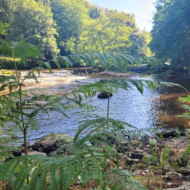 Balade bien-être au fil de l'eau - Août