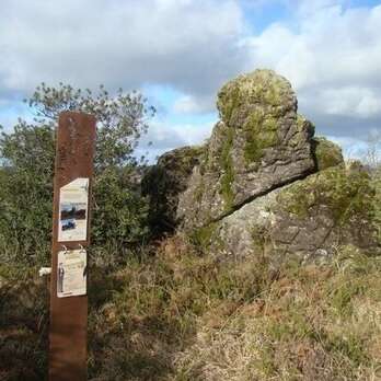 Sentier d'interprétation La lande des Pierres du Mas