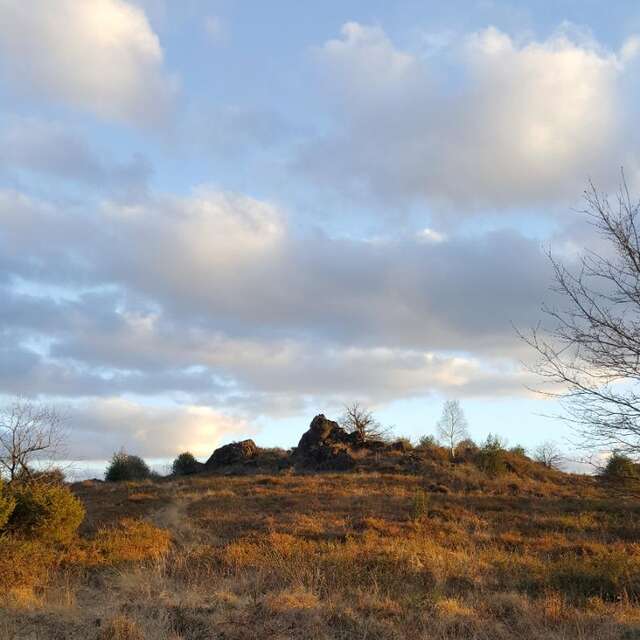 Sentier d'interprétation Landes du Cluzeau et de la Flotte