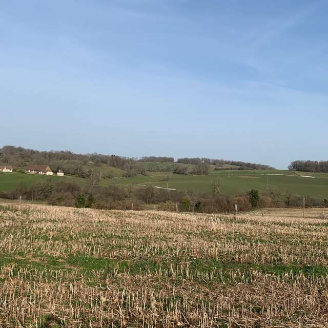 Boucle cyclotouristique La forêt de Meuzac