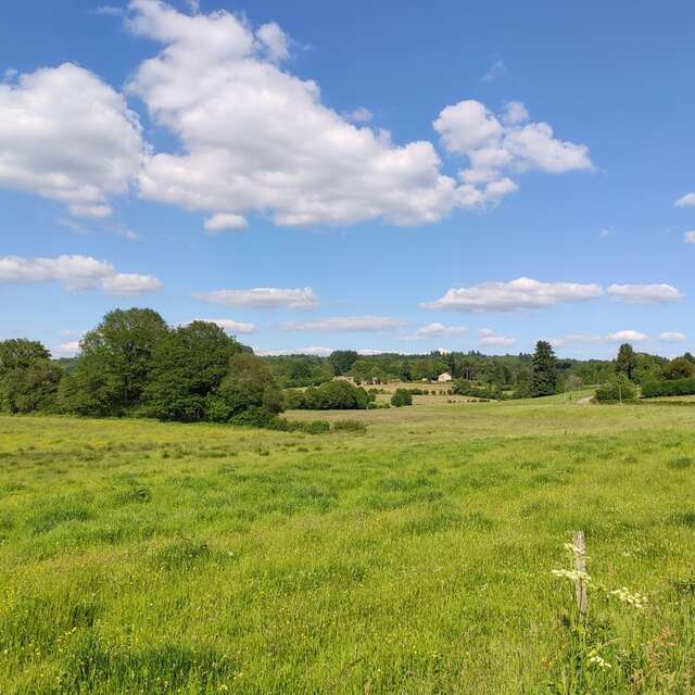 Sentier "Les Hauts de Bujaleuf"