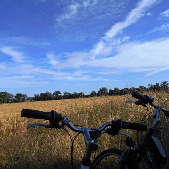 C20 circuit cyclo en famille autour de Saint-Sulpice-les-Feuilles et du Lac de Mondon