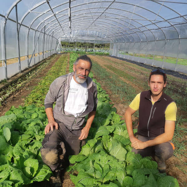 GAEC La Chouette Isop - Légumes et fruits
