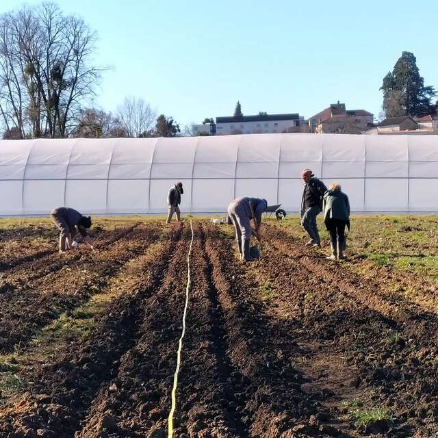 Le Comptoir Fraternel