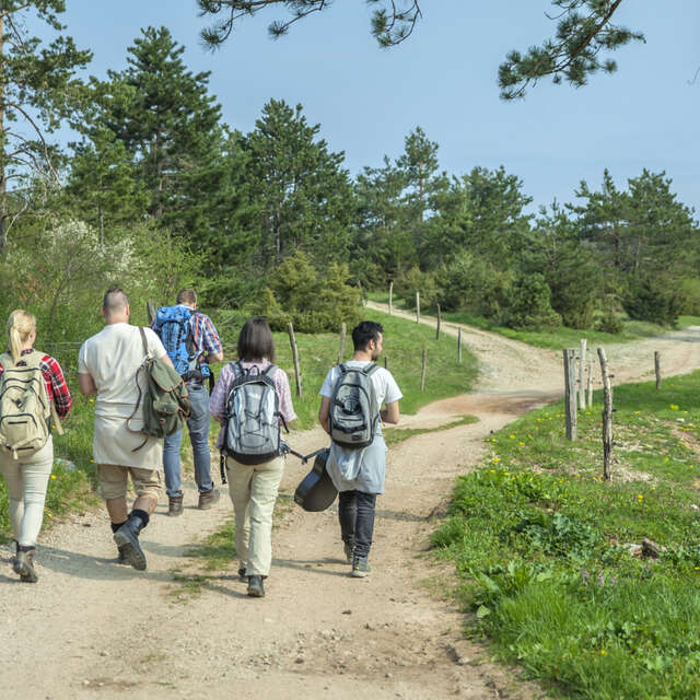 Journée des chemins