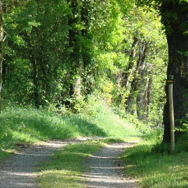 Circuit des rives de la Charente
