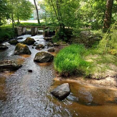 circuit Brame et pâturage