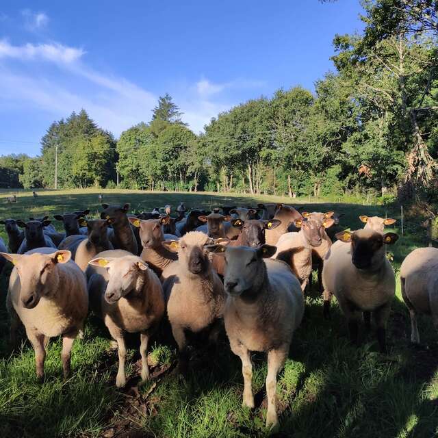 GRP® Monts et Barrages en Limousin - Etape 5 - De Nedde à Eymoutiers