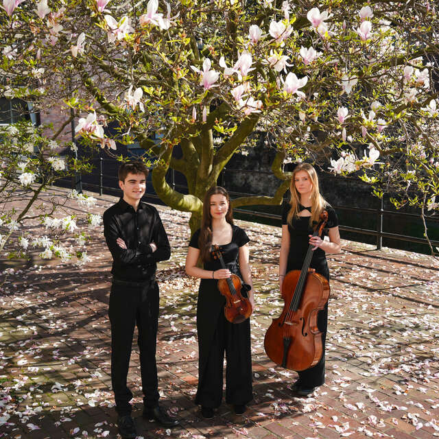 Festival Musical de Saint-Yrieix : Trio Aredius