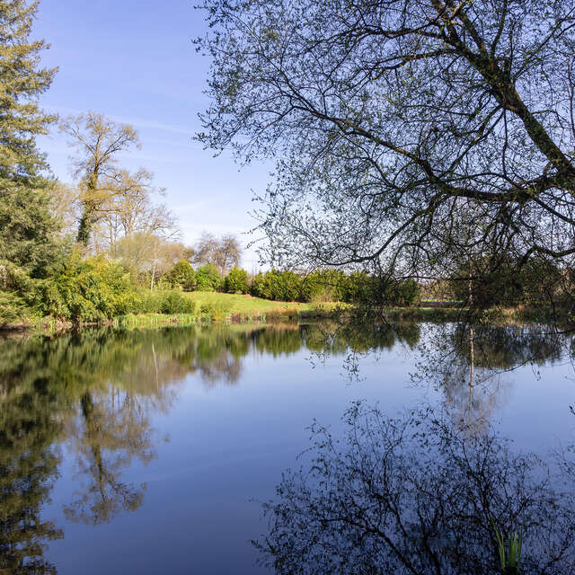 Sentier des petits ruisseaux