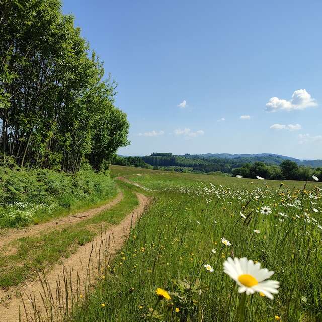 GRP®Monts et Barrages en Limousin - Etape 2 - De Bujaleuf à Saint-Julien-le-Petit