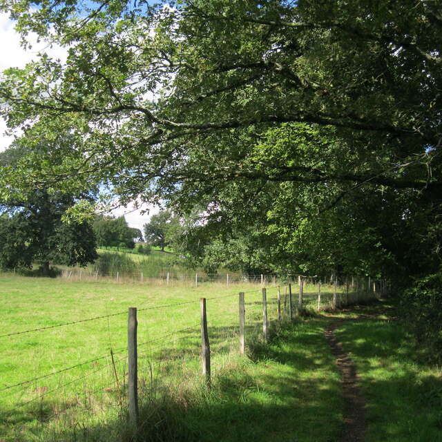 Sentier des trois ruisseaux