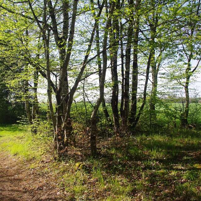 GRP®Monts et Barrages en Limousin - Etape 8 - De Saint-Méard à Saint-Paul