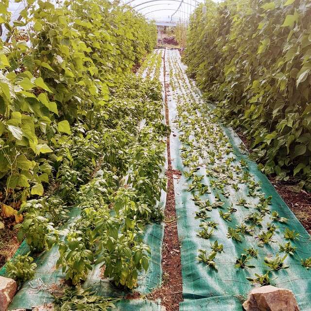 Les jardins de Pomereix