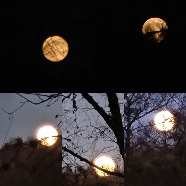 Soirée entre soleil et pleine lune - Août