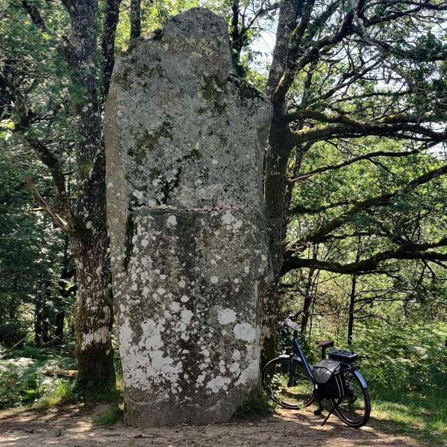 Circuit à vélo de Oradour-sur-Glane à Mortemart