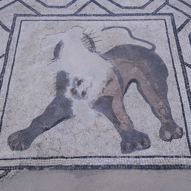 Augustoritum : Sur les pas de la ville antique - Visite Guidée