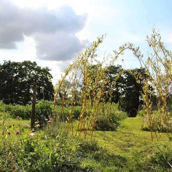 ô jardin des chênes