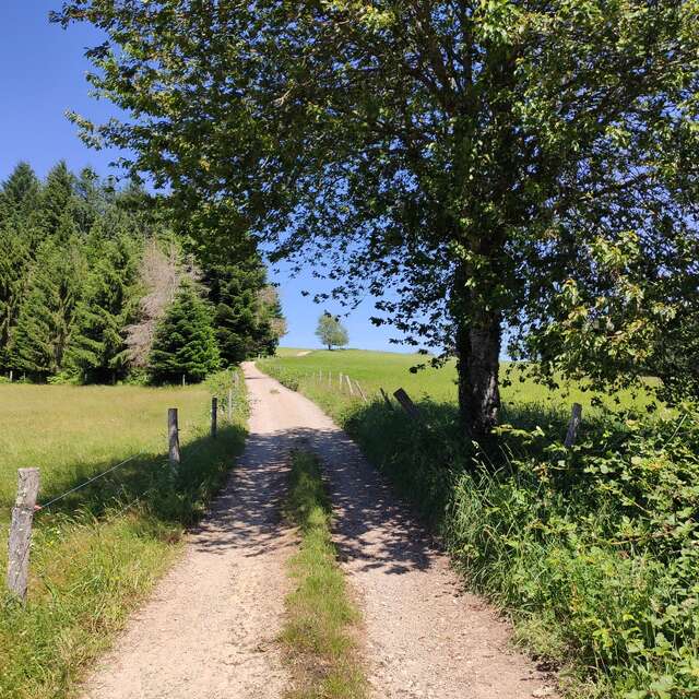 Boucle du Mont Larron