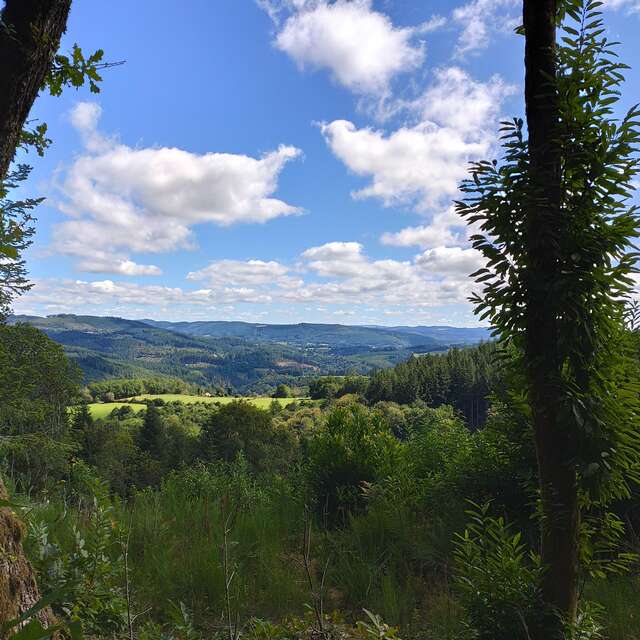 Circuit du Suquet de la Grolle