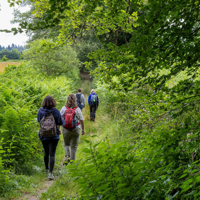 Balade autour de la Haie - Bocage et Biodiversité