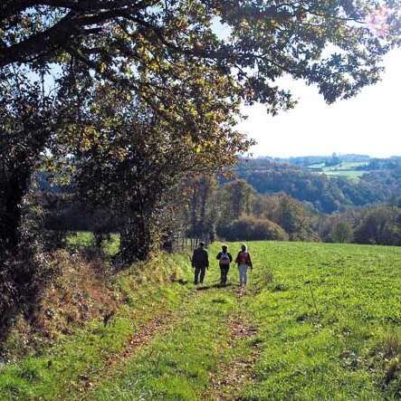 Sentier Boucle du Parleur