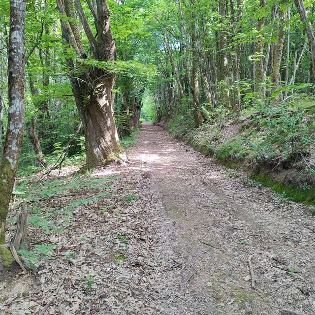 Circuit VTT n°6 Autour des monts d’Auriat